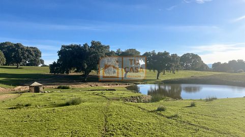 Venta de magnífica finca rústica de 180 hectáreas en Deleitosa, (Cáceres)., immagine 2
