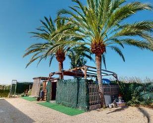 Garden of House or chalet for sale in Santa Pola  with Swimming Pool
