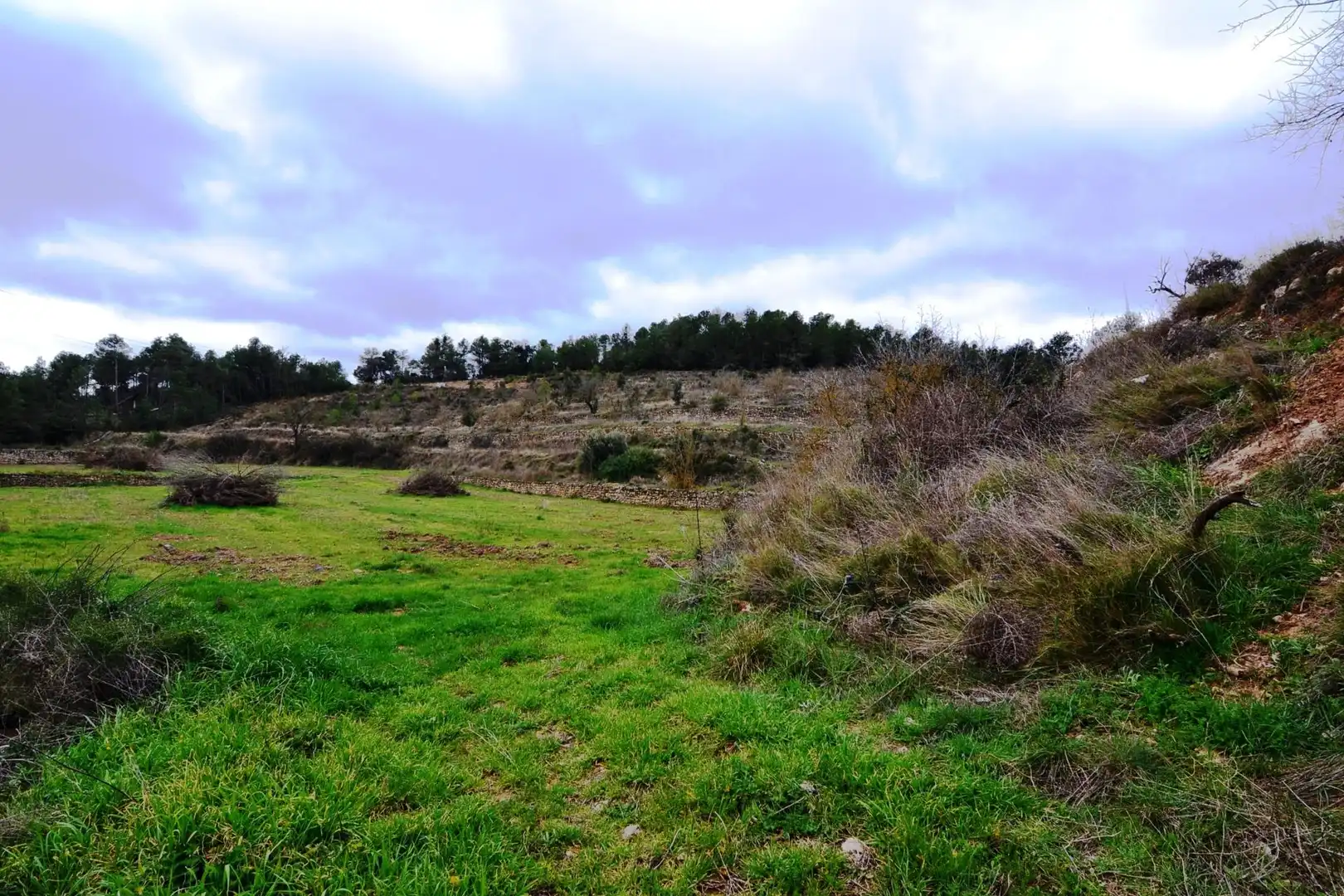 Terreno en venta en Vilalba dels Arcs