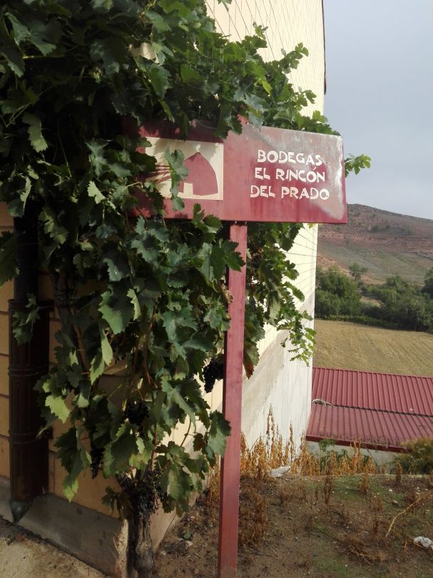 Premises to rent in Badarán