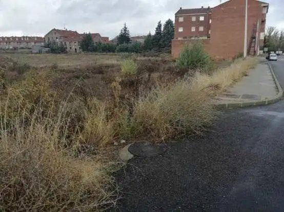 Terreni e lotti in vendita a Calle de los Picones