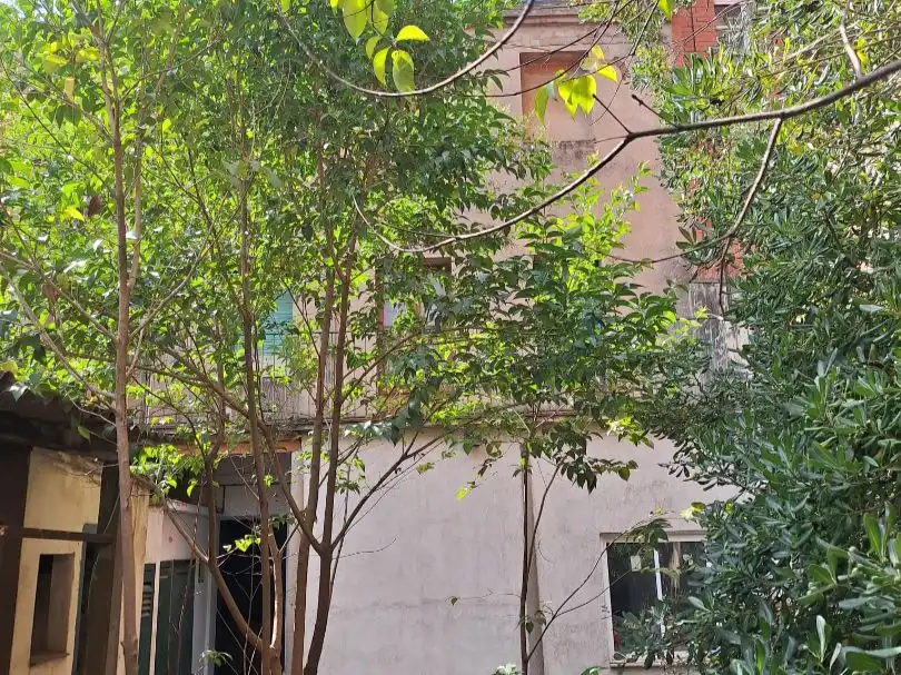 Haus mit Garten zum Verkauf in sant josep 76, imagen 58
