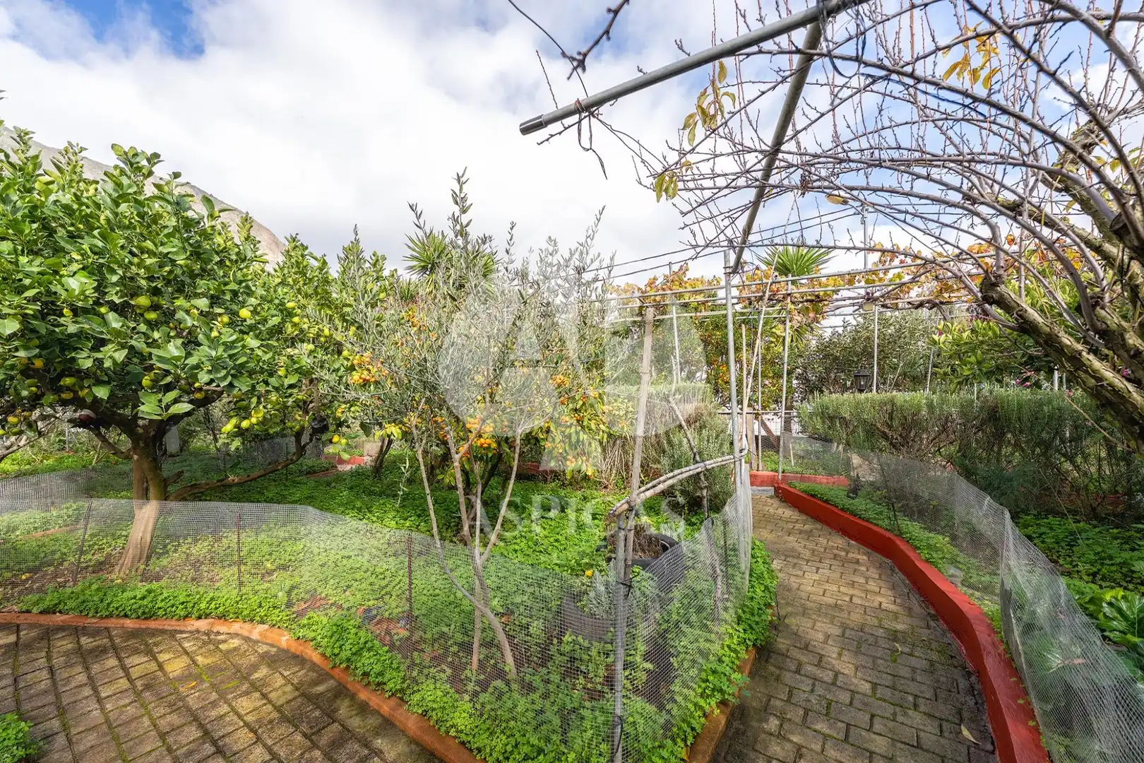 Casa rústica amb jardí en venda a Calle Los Parrales 12, imagen 26