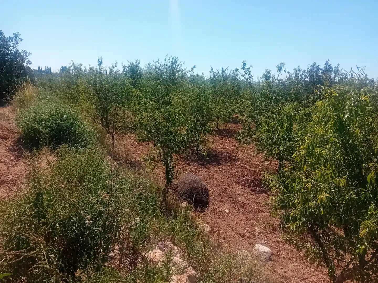 Terreno en venta en Cartagena