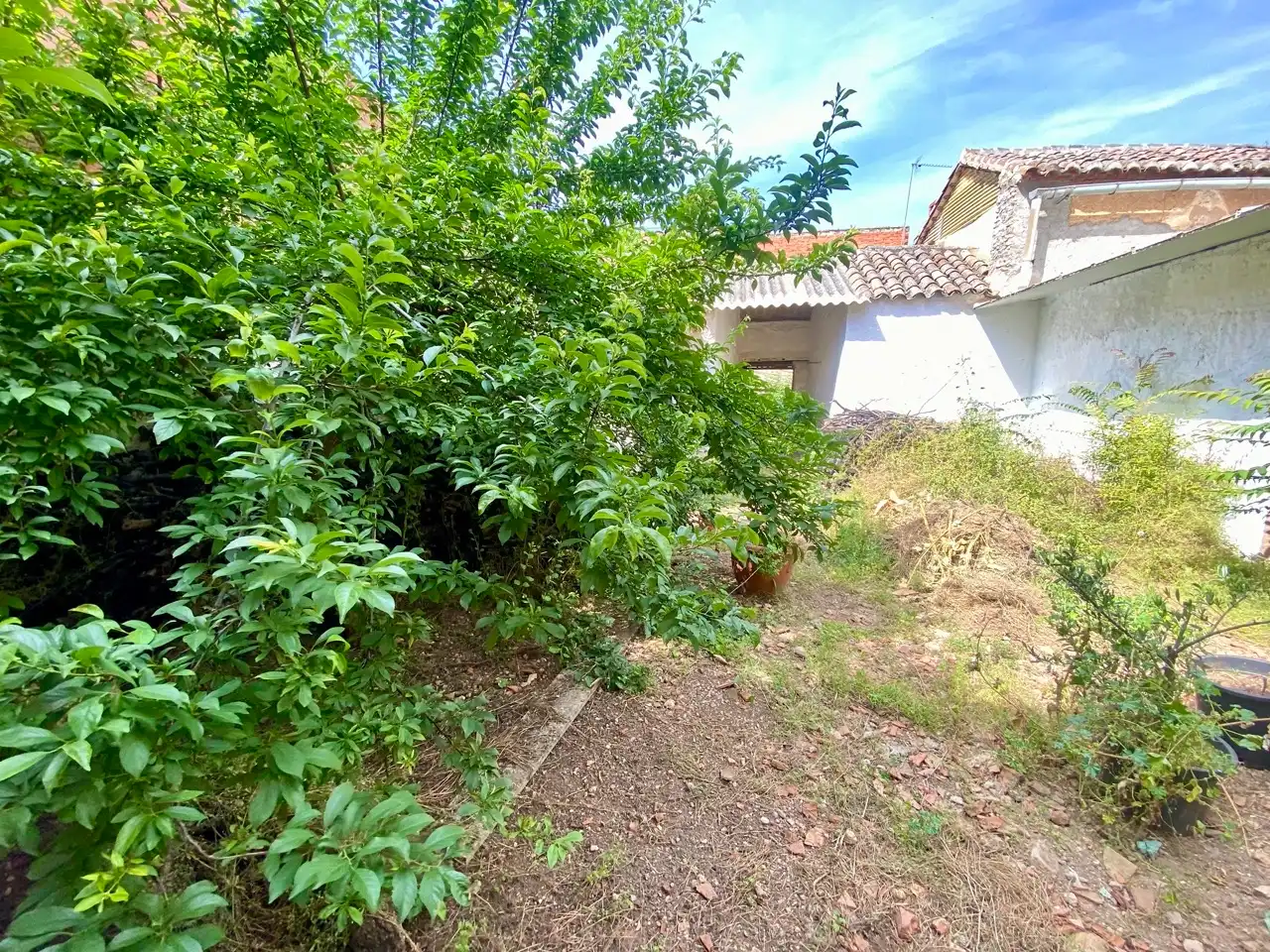 Casa amb jardí en venda a Calle Beato Jorge, imagen 7