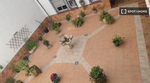 Foto 2 de Apartament per a compartir a San Ildefonso, Granada