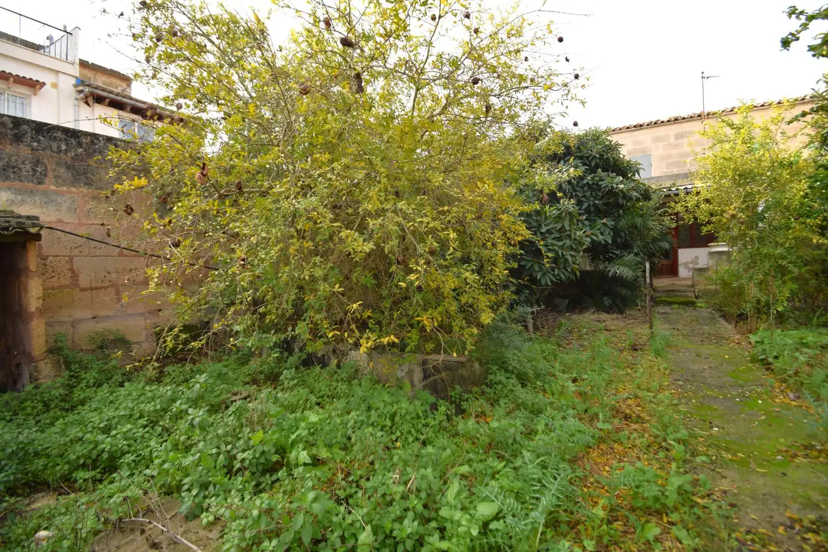 House with garden for sale in Calle Major 35, imagen 35