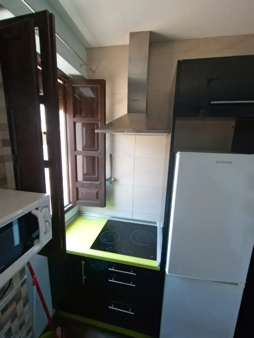 Cuina de Apartament de lloguer en Granada amb Moblat, Rentadora i Microones