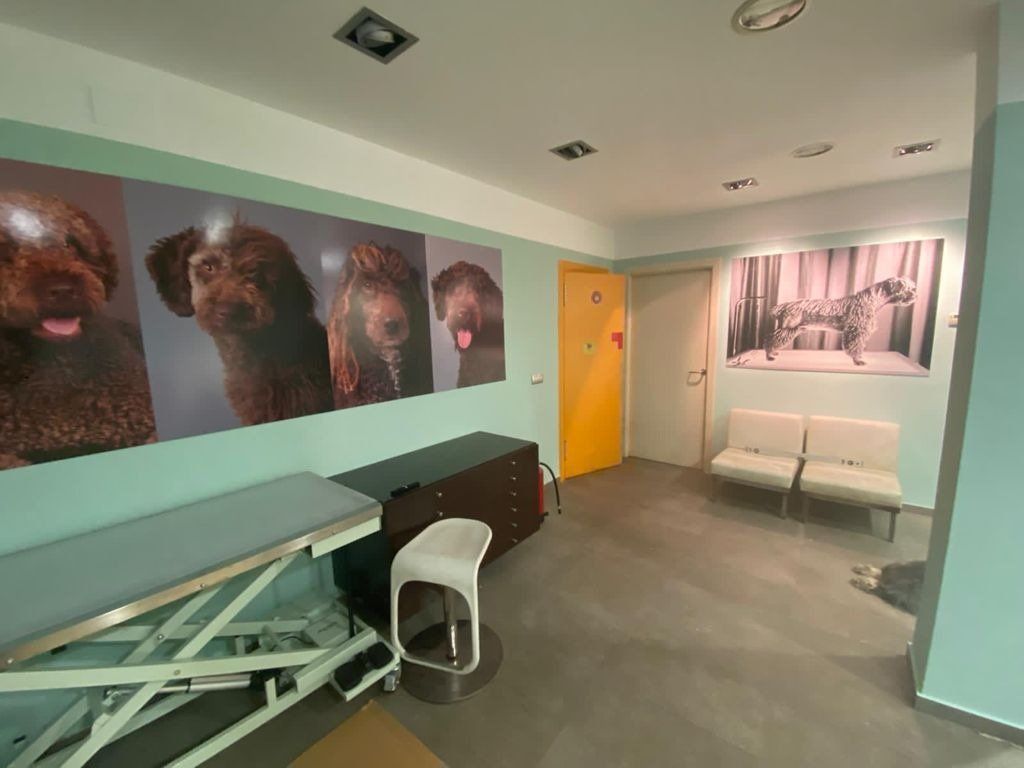 Loft zum Verkauf in  Córdoba Capital