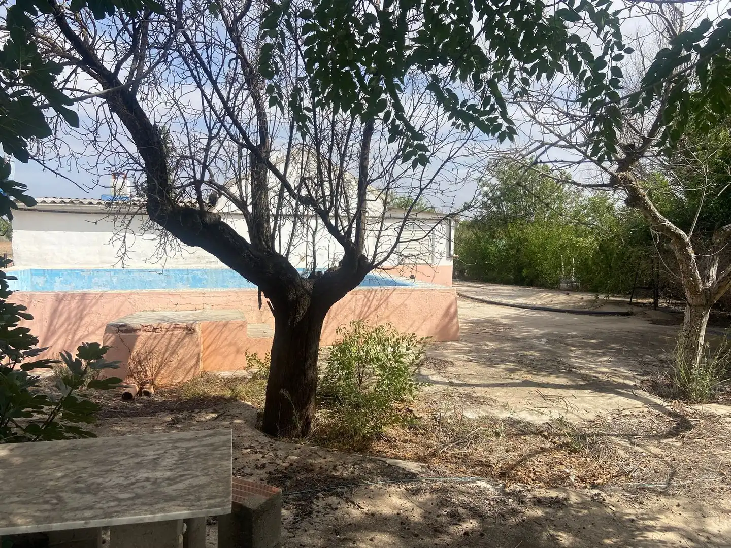 Piscina de Casa o chalet en venta en Argamasilla de Calatrava con Jardín privado, Terraza y Trastero