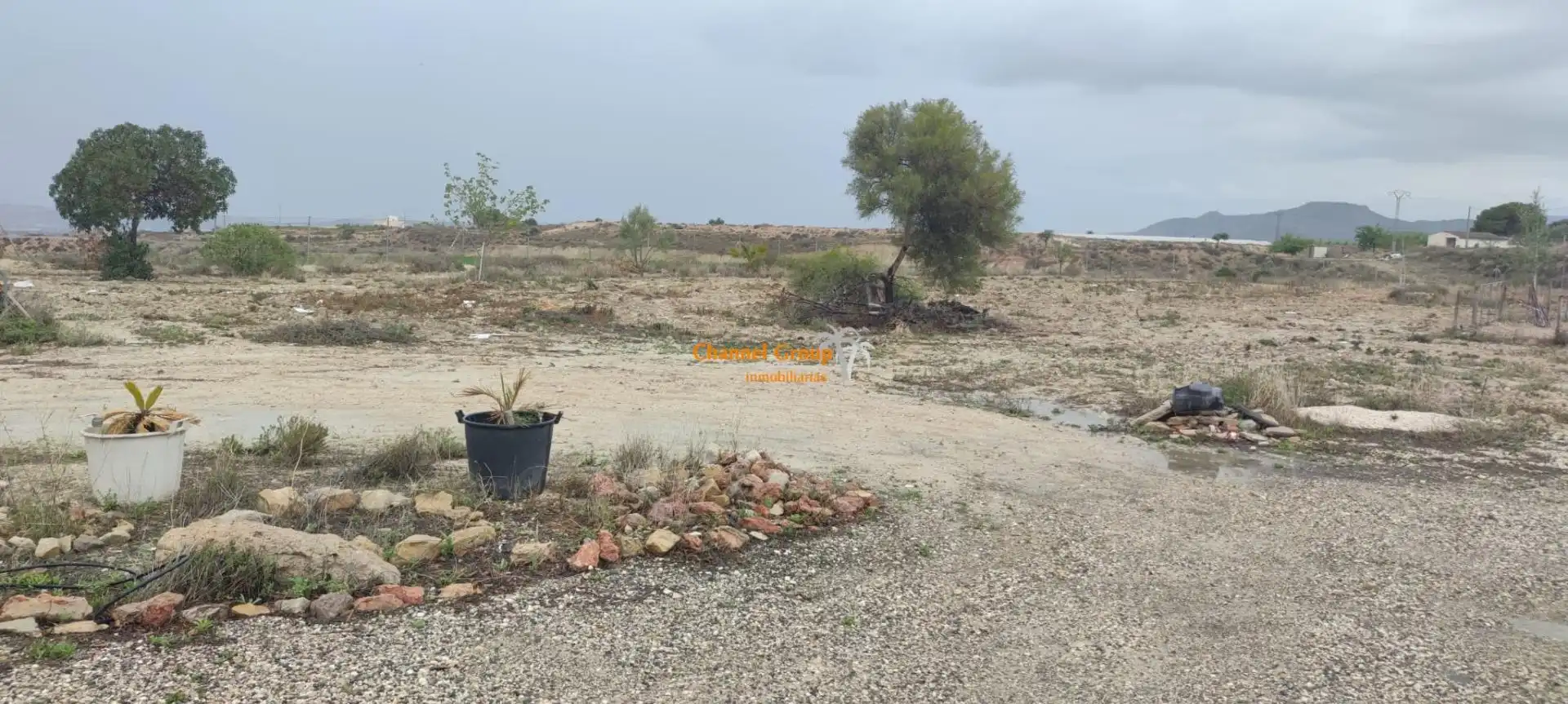 Finca rústica en venta en Novelda