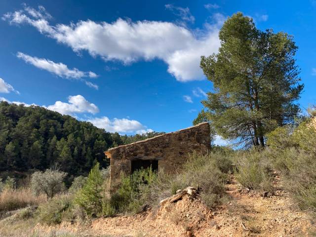 Terreno en Venta en Arens de Lledó