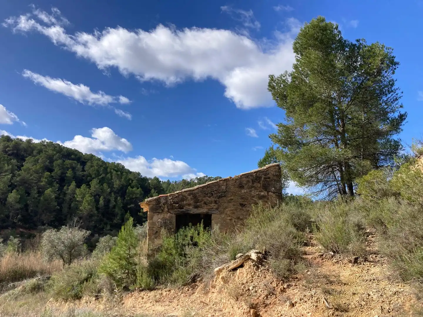 Terreni e lotti in vendita a Arens de Lledó