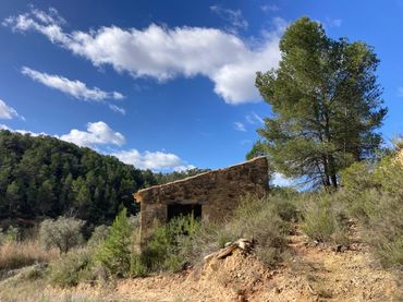 Terreno rústico en venta en Arens de Lledó