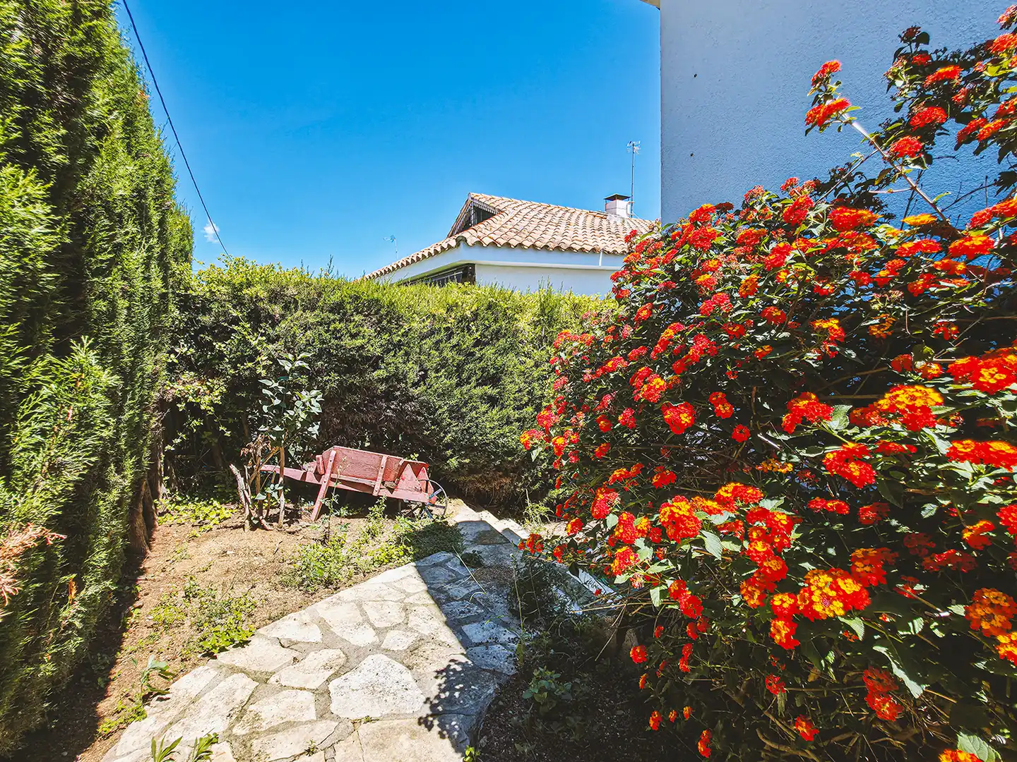 Jardí de Casa o xalet en venda en Sant Pol de Mar amb Calefacció, Jardí privat i Terrassa