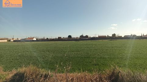 TERRENO PINSEQUE, Bild 2