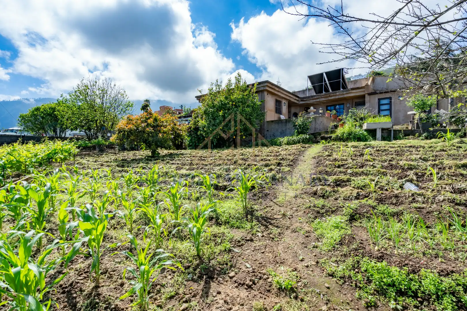 Casa rústica con jardín en venta en La Perdoma - San Antonio - Benijos, imagen 28