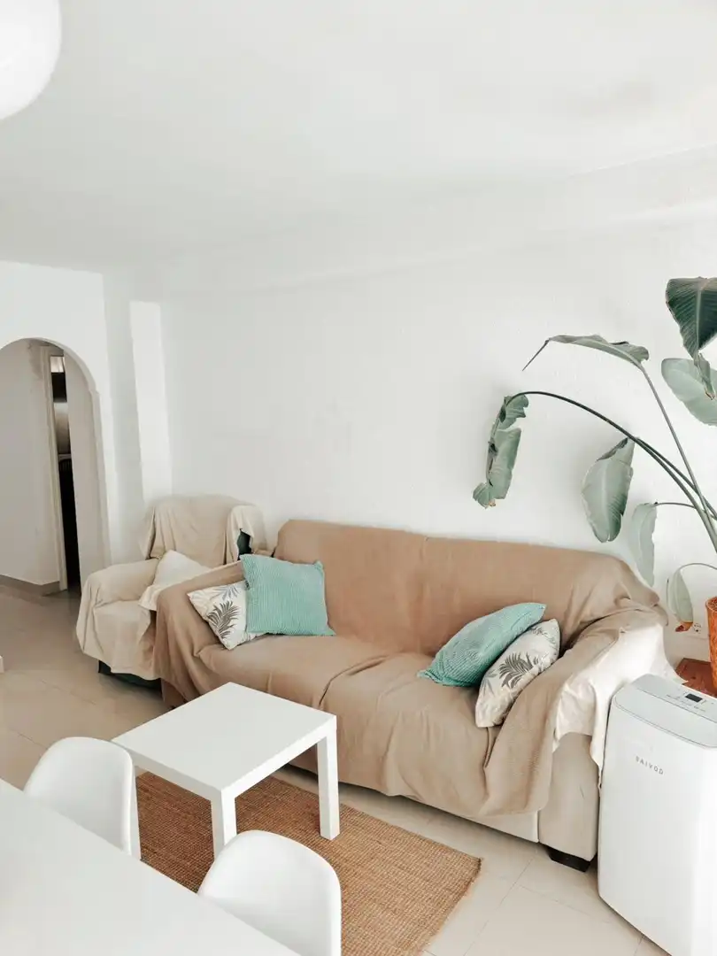 Sala de estar de Piso de alquiler en Alicante / Alacant con Terraza y Amueblado