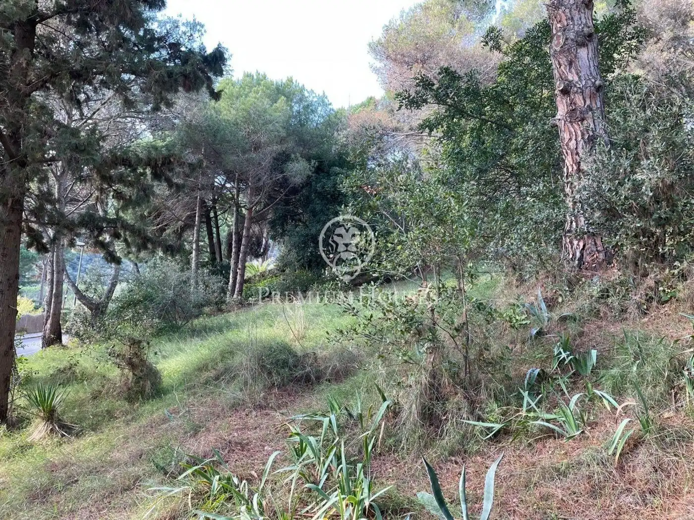Wohnbaugrundstück zum Verkauf in Arenys de Munt, imagen 6