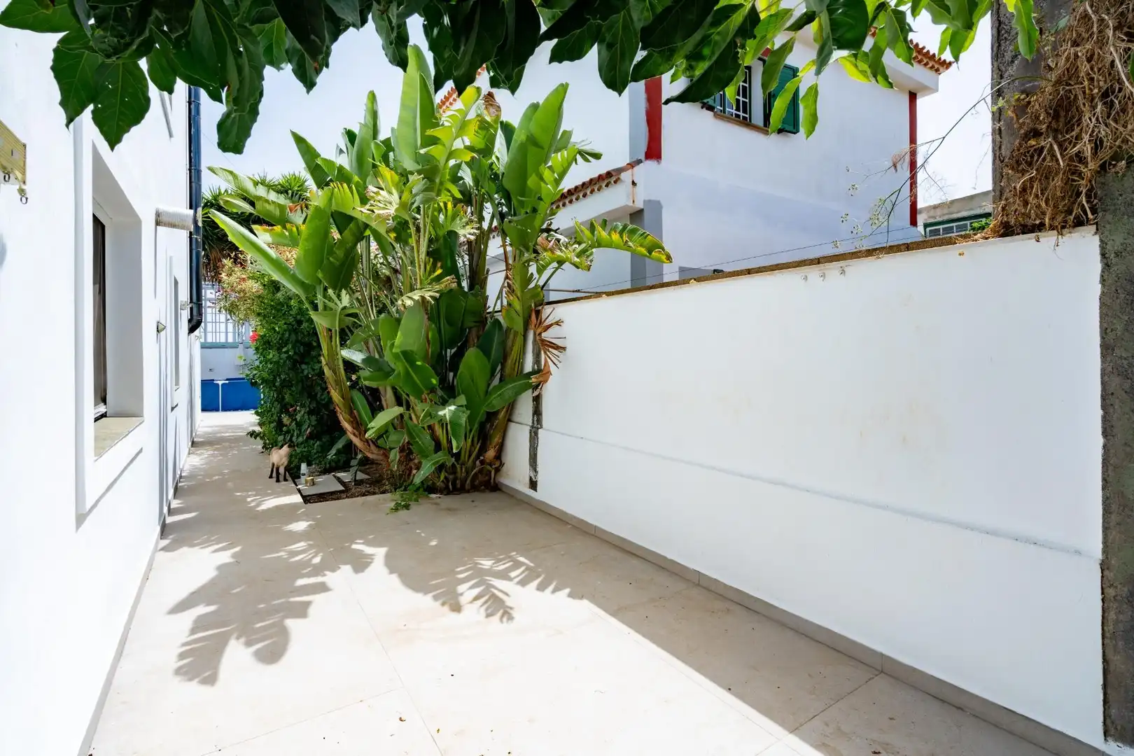 Casa amb jardí en venda a Camino Vereda Chica, imagen 57
