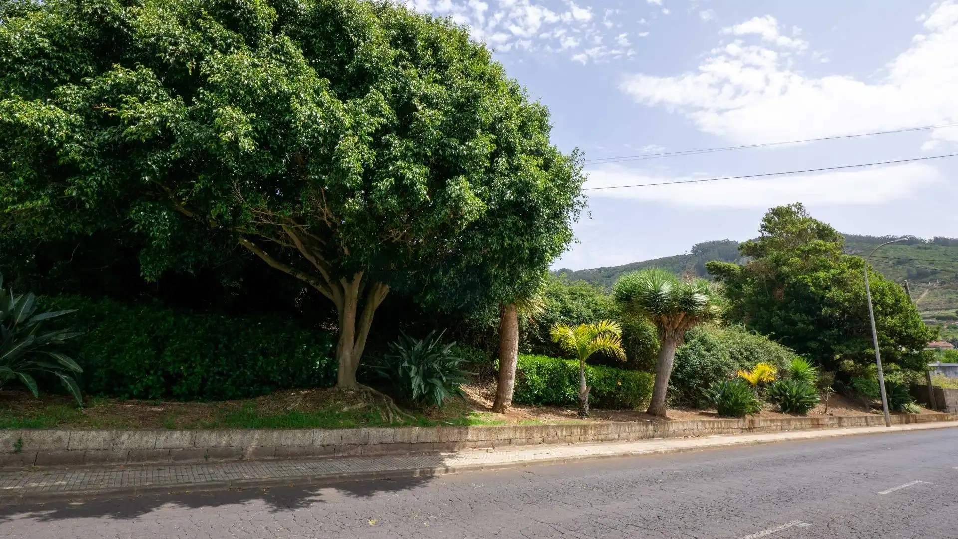 Lands and plots for sale in Tegueste, imagen 31