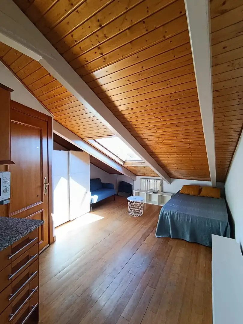 Studio mit Aufzug zur Miete in Calle de Toledo 69, imagen 14