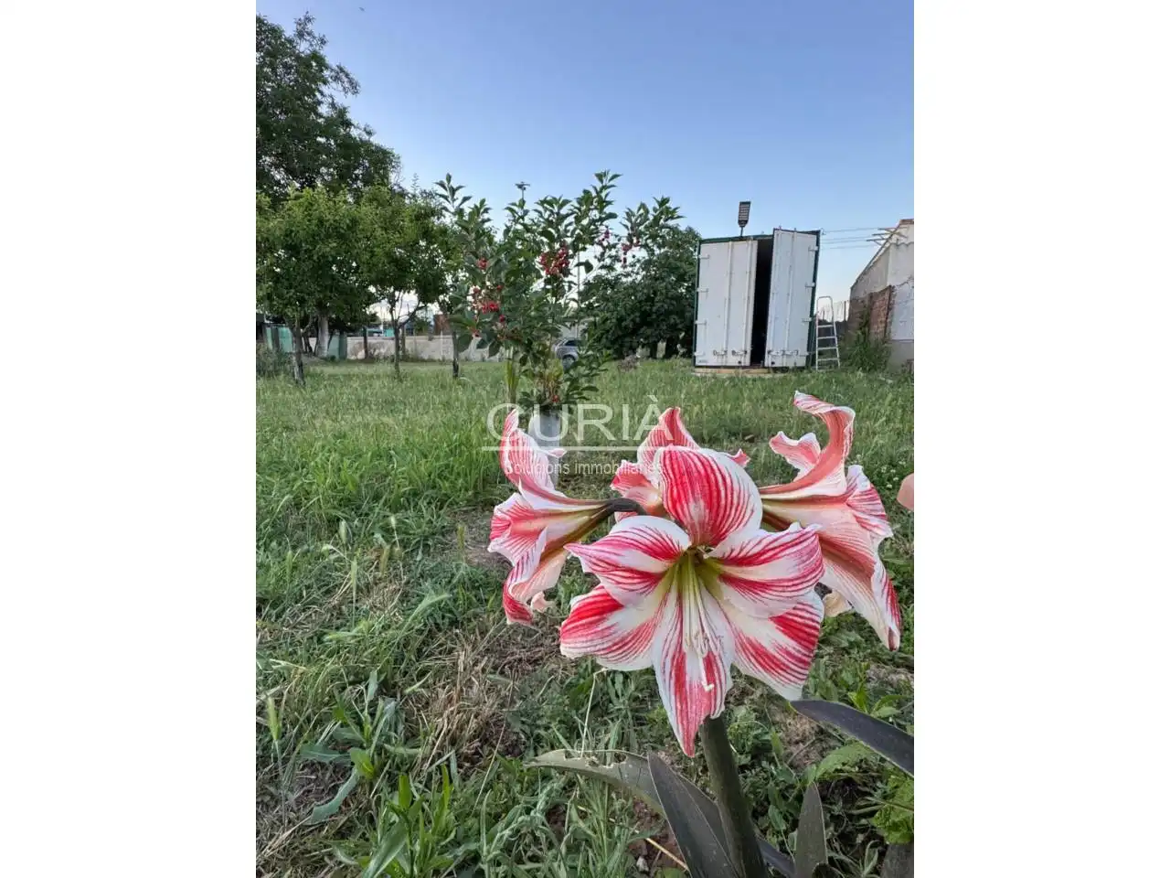 Land for sale in Cappont
