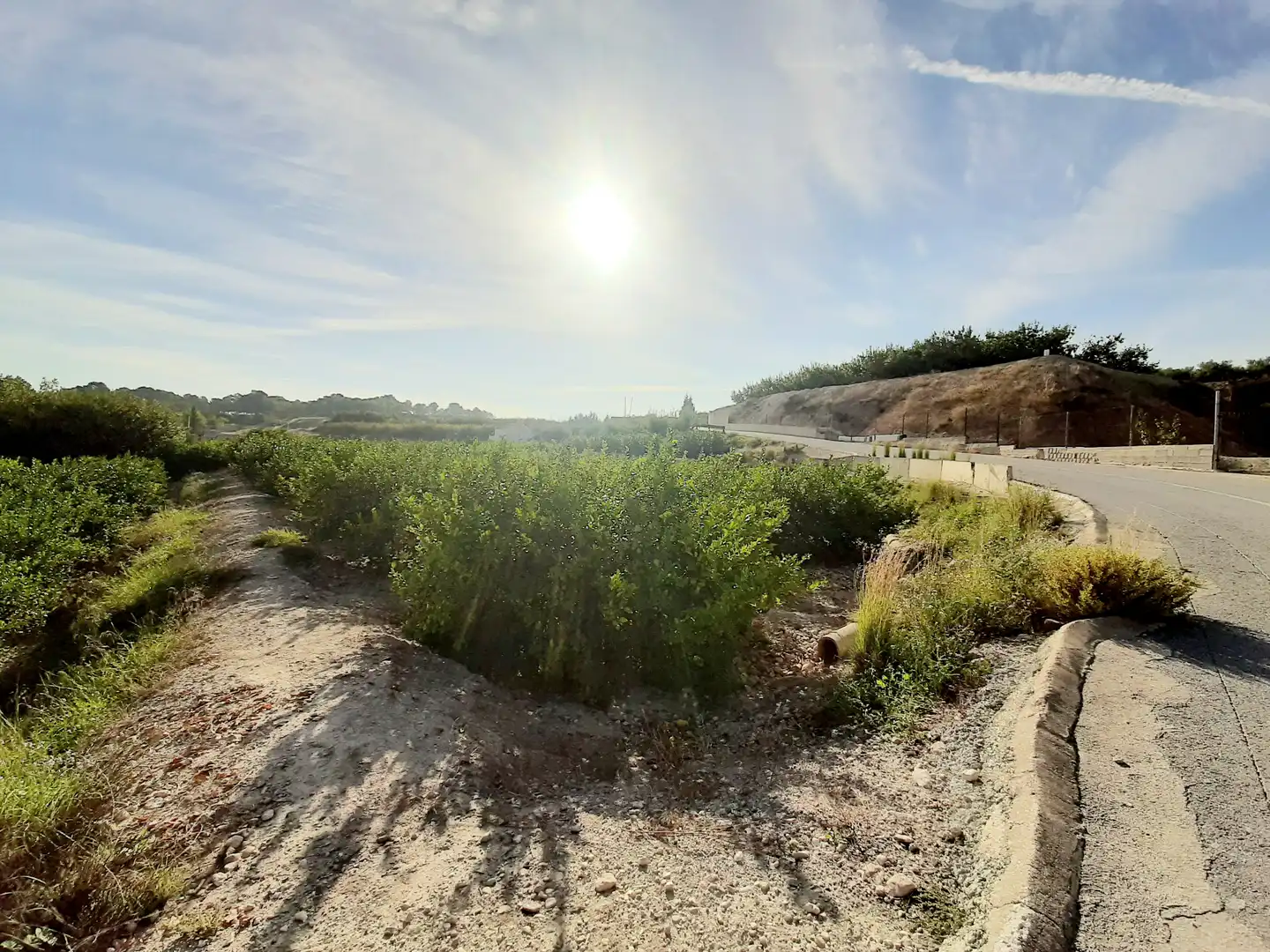 Rural land for sale in Ojós, imagen 9