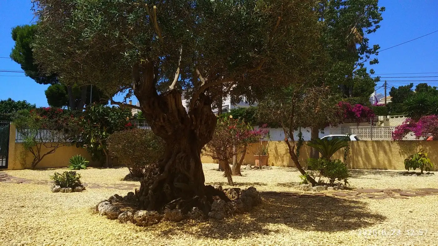Garden of Houses for sale in La Nucia  with Private garden, Terrace and Storage room