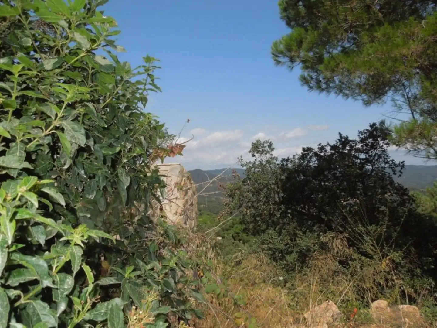 Residencial en venta en El Molí - El Rieral