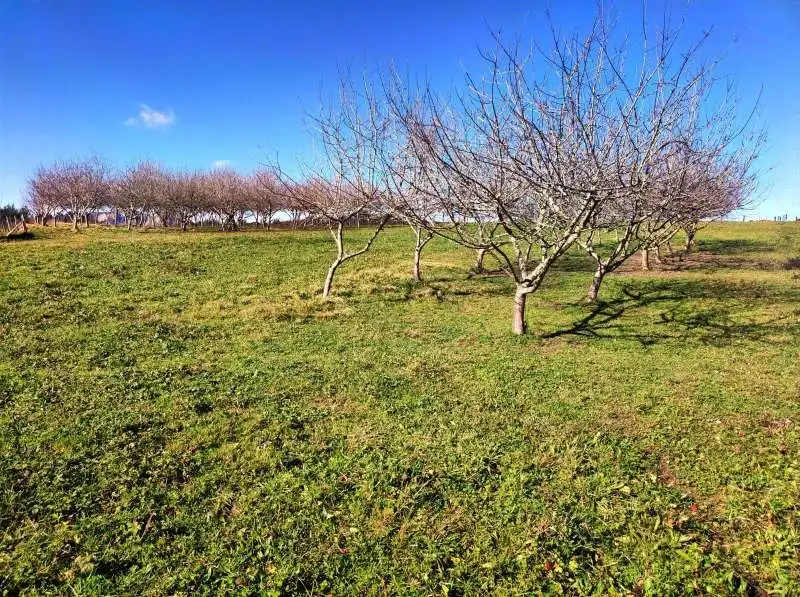 Terreno en venta en Abadiño 