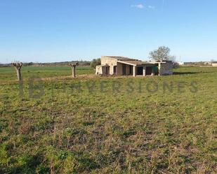 Finca rústica en venda a Son Cerda, Petra