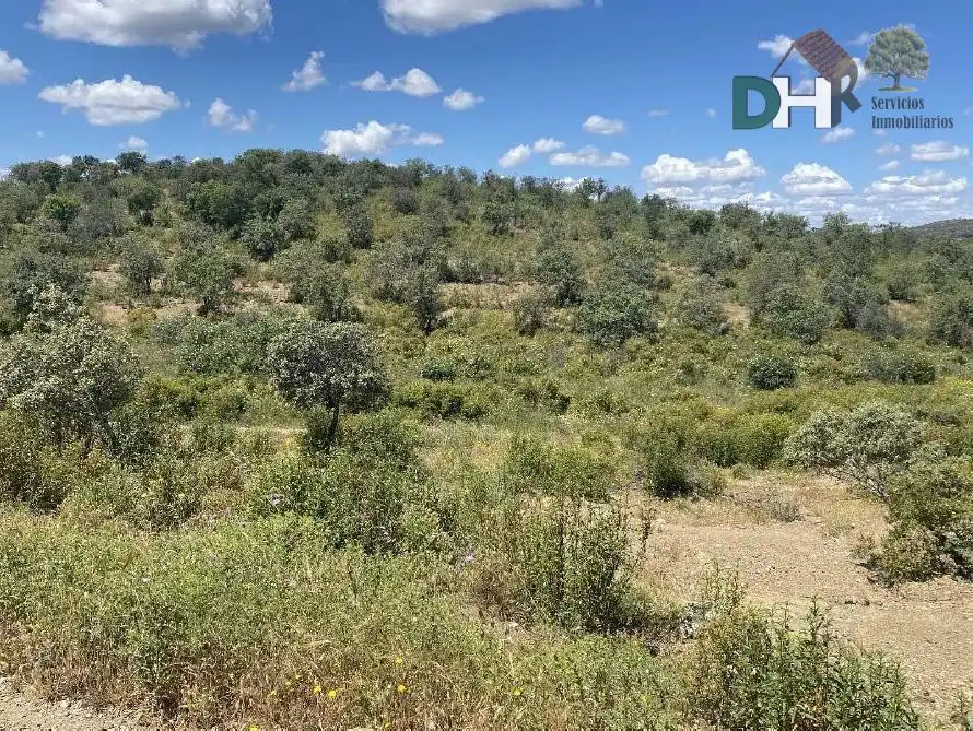 Terreni e lotti in vendita a El Carmen - Cardeñas, imagen 3