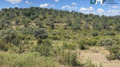 Photo 3 of Residential for sale in El Carmen - Cardeñas,  Huelva Capital