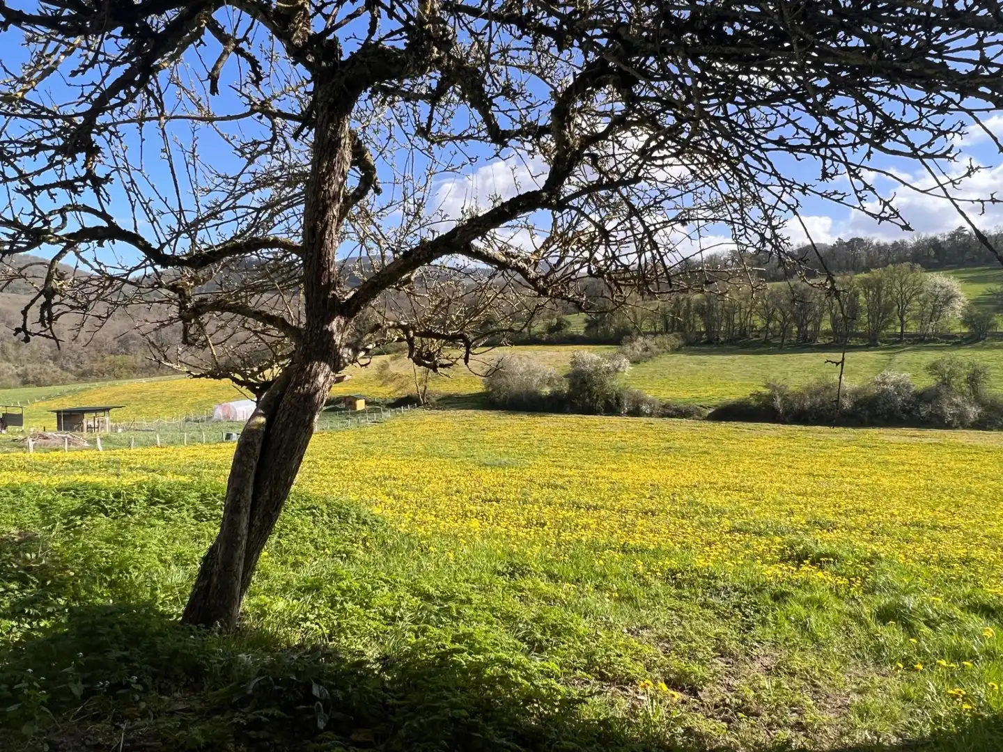 Casa o xalet en venda en Anue amb Jardí privat i Traster