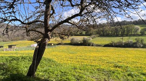 Foto 5 de Casa o chalet en venta en Calle la Virgen/la Virgen Kalea, Anue, Navarra