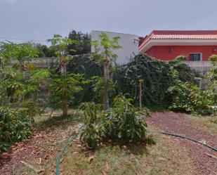 Garden of Country house for sale in Güímar  with Private garden, Terrace and Swimming Pool