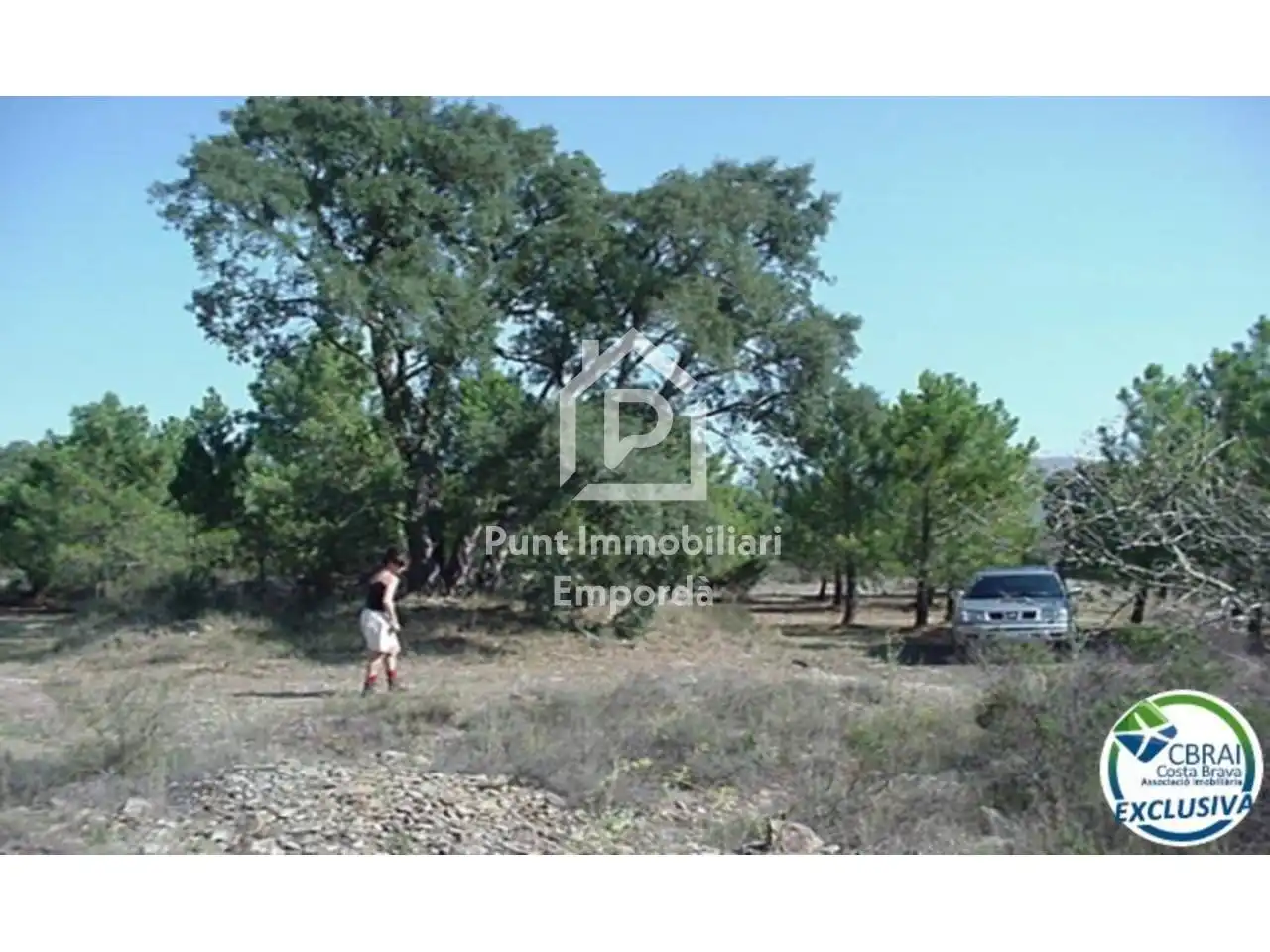 Terreny rústic en venda a Polígono Butaros 181, imagen 16