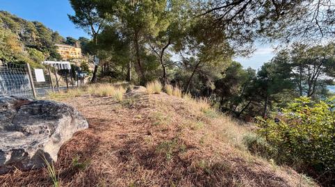 Foto 2 de Residencial en venta en Carrer de la Cala, 6, Santa Cristina - Sant Francesc, Girona