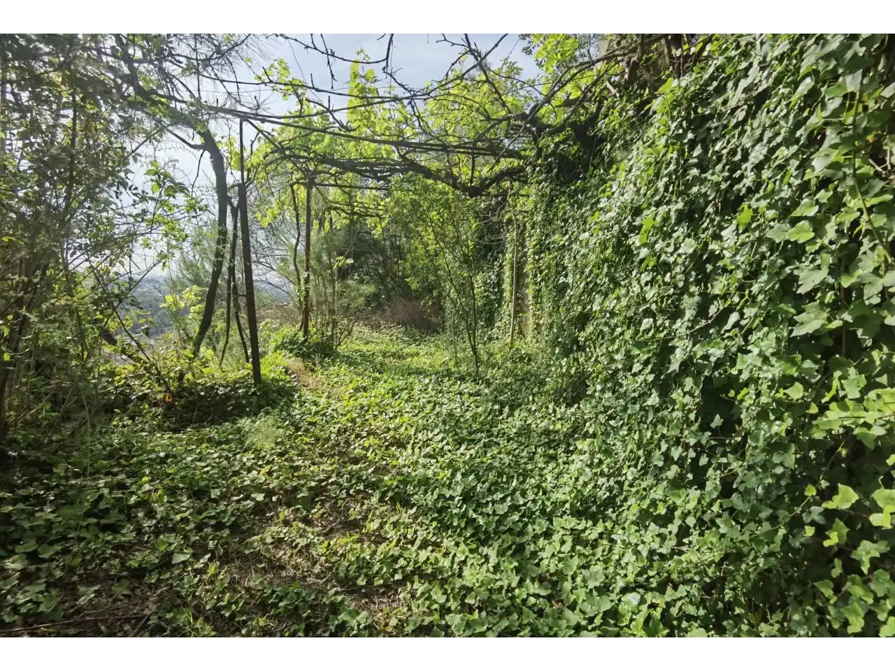 Terreny residencial en venda a Castellnou - Can Mir - Can Solà, imagen 9
