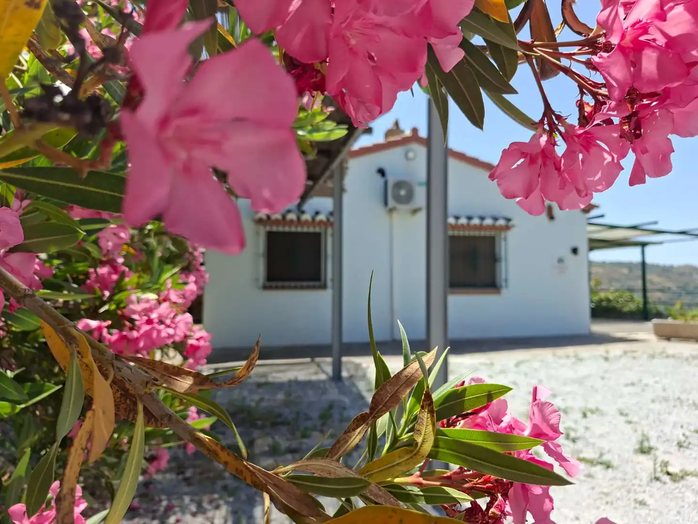 Country house with pool for sale in Cómpeta, imagen 58