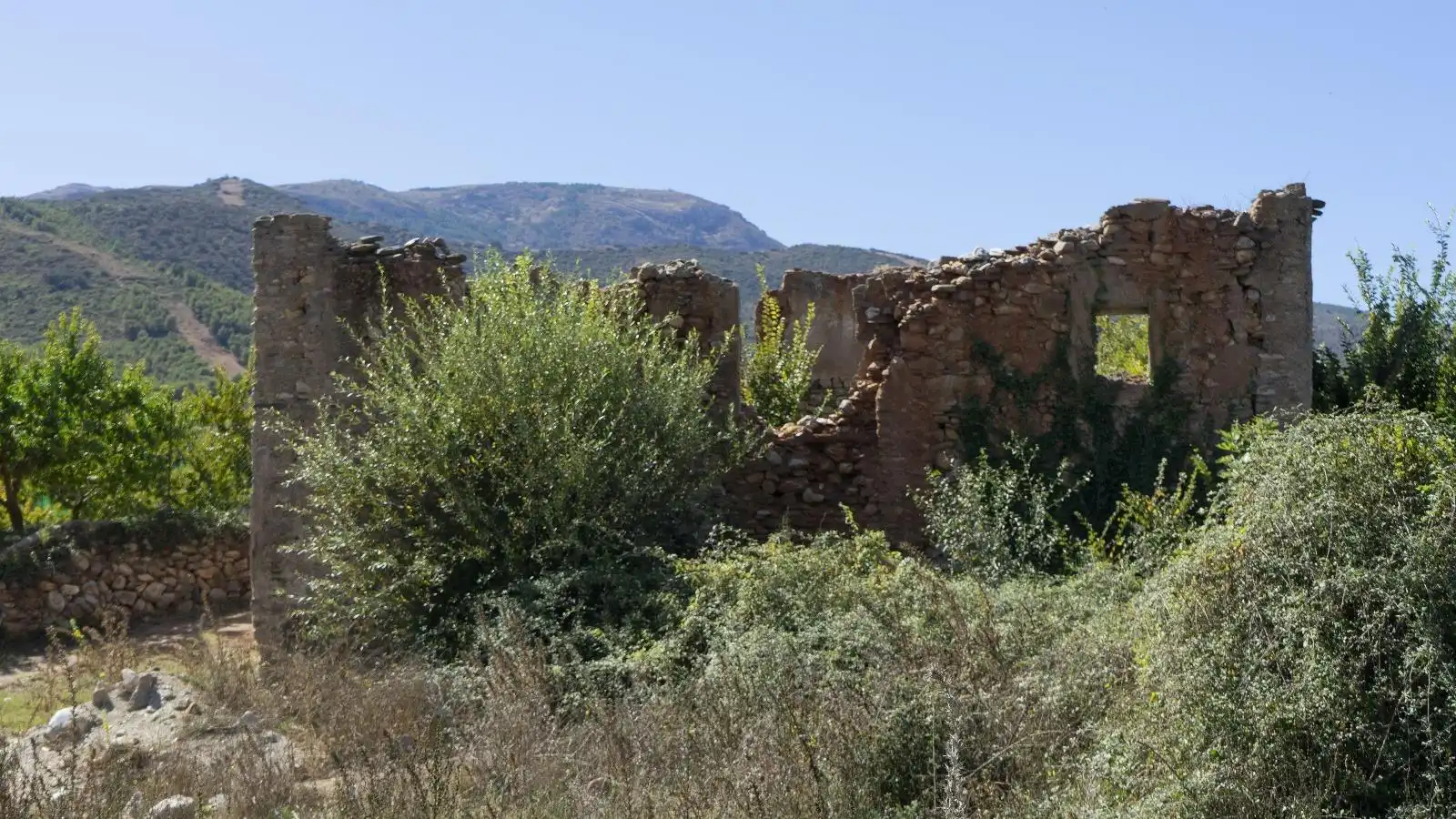 Terreny rústic en venda a PAGO ACEQUIA BAJA Polígono 11 Parcela 174 11, imagen 7