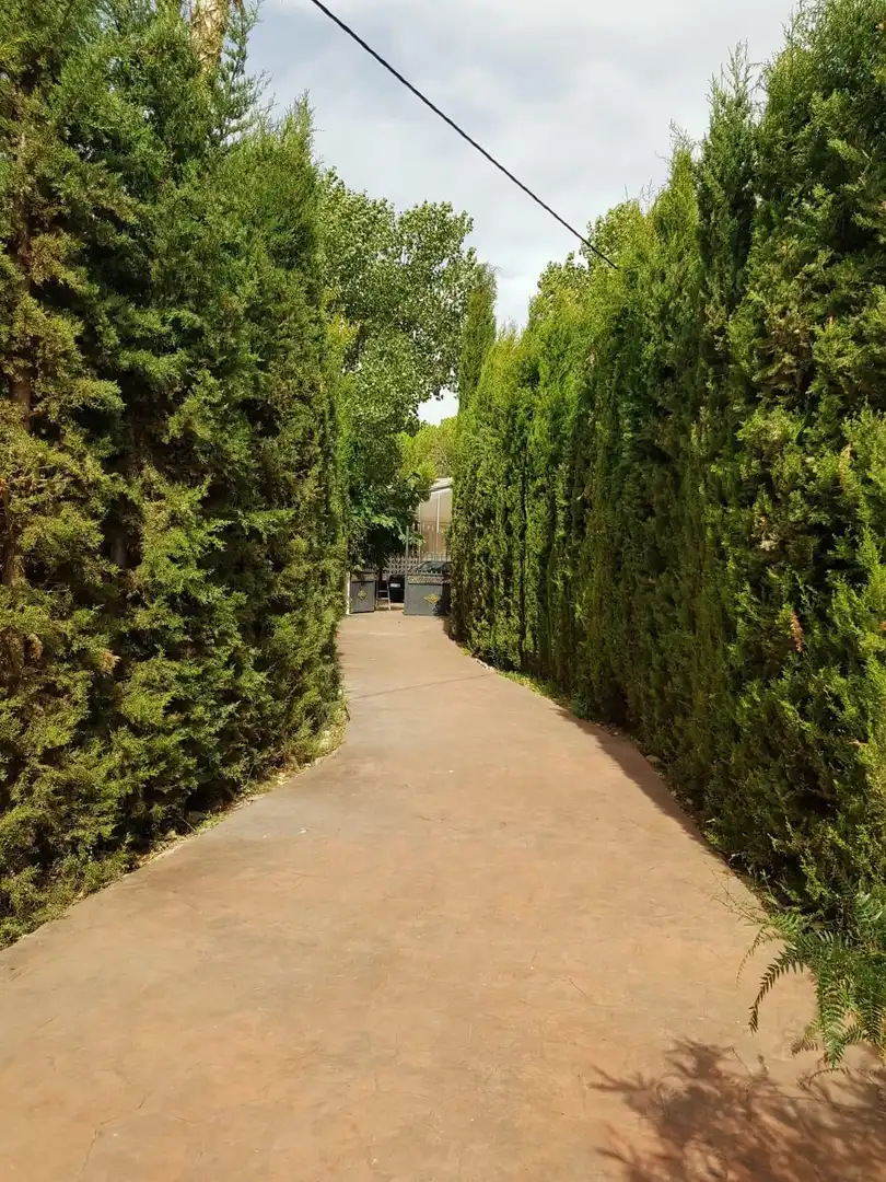 Vista exterior de Finca rústica en venta en Santa Cruz de Mudela