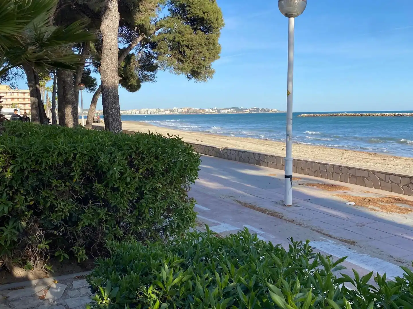 Vista exterior de Estudi de lloguer en Cambrils amb Jardí privat