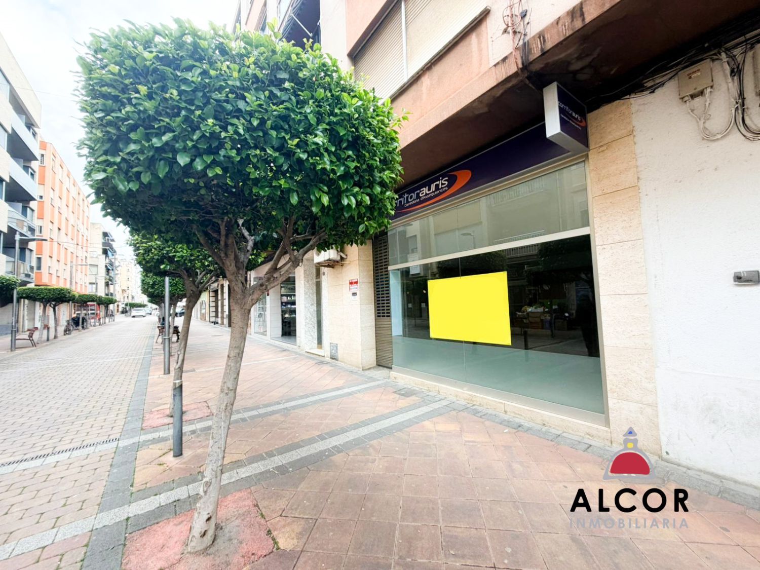 Premises for sale in Benicarló