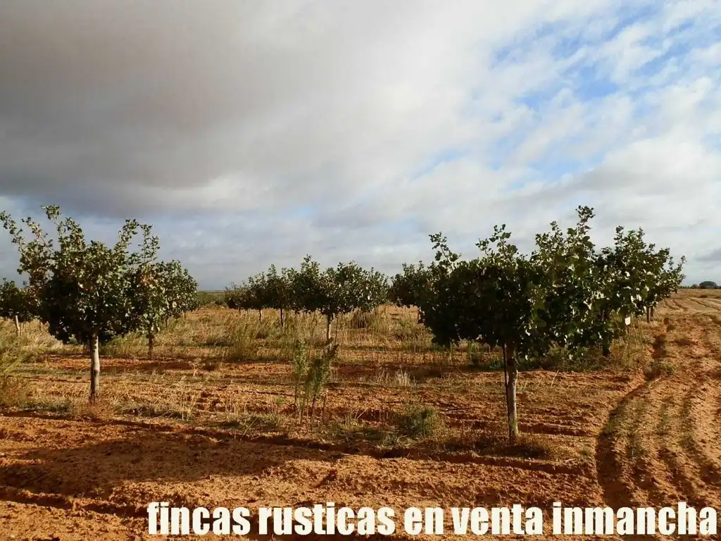 Terreni e lotti in vendita a Las Mesas, imagen 4