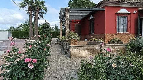 Photo 4 of Houses for sale in La Carlota, Córdoba
