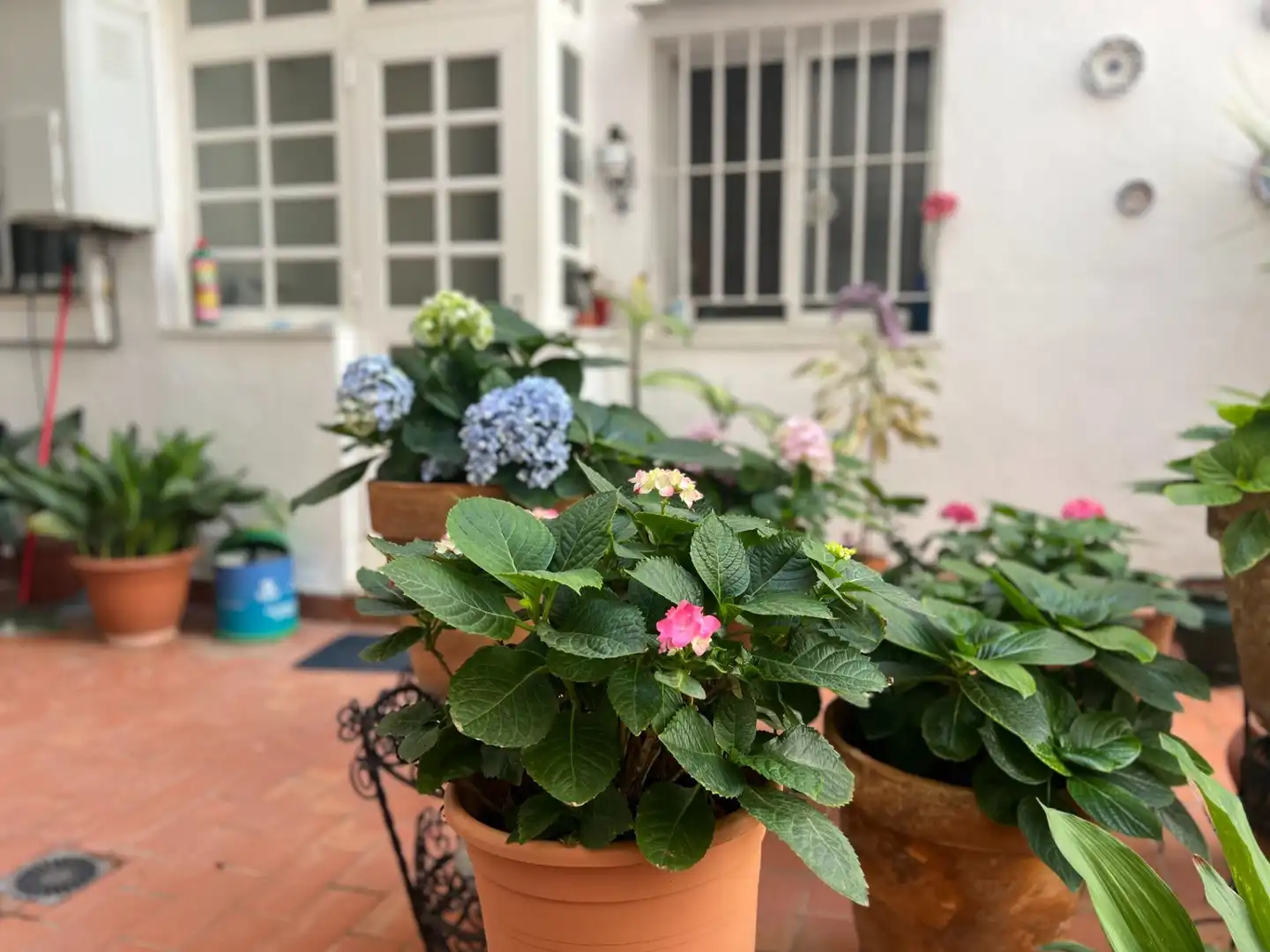 Garden of Flat for sale in Málaga  with Air Conditioner and Heating