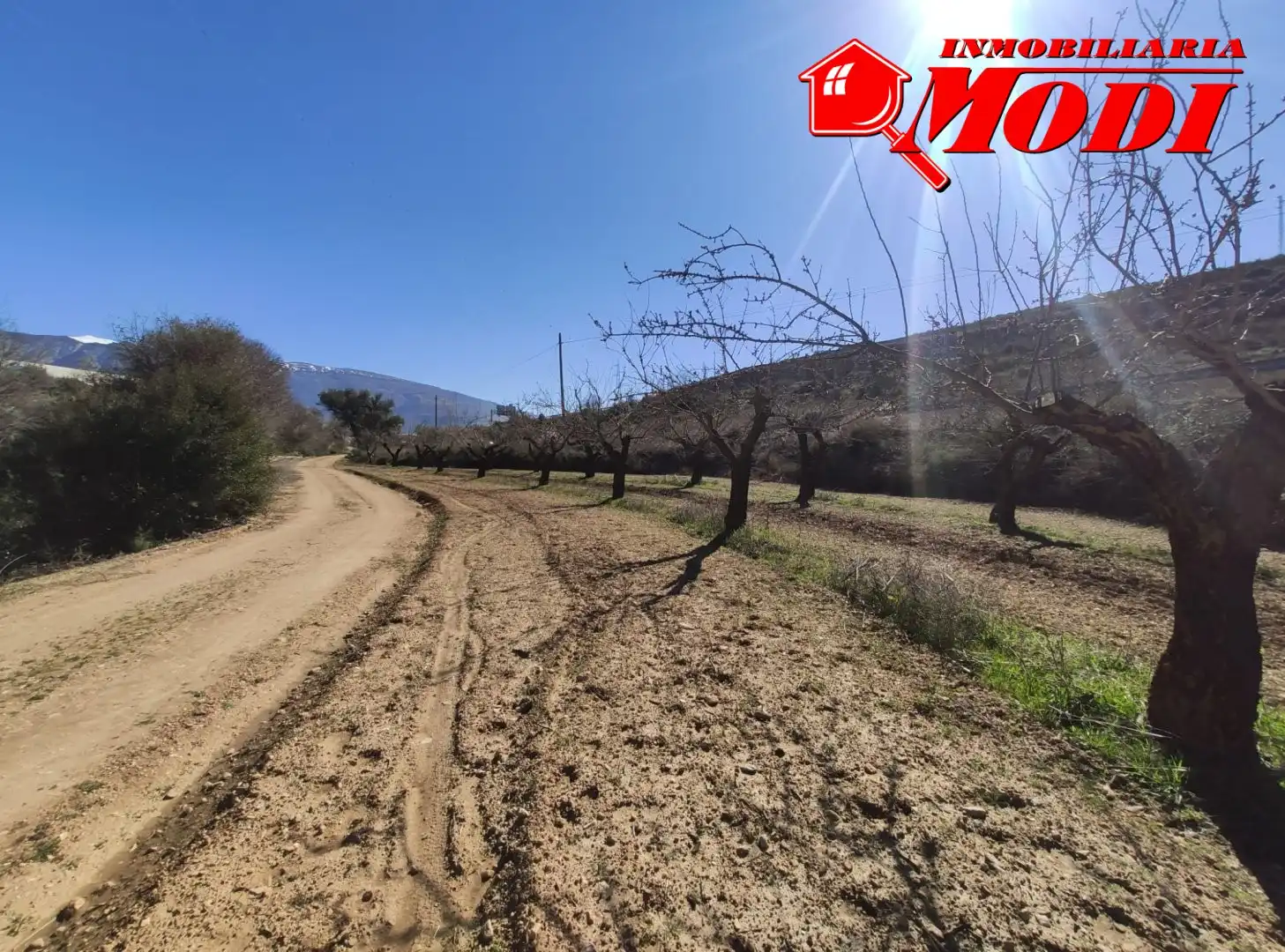 Terrenys i solars en venda a Villamena, imagen 12