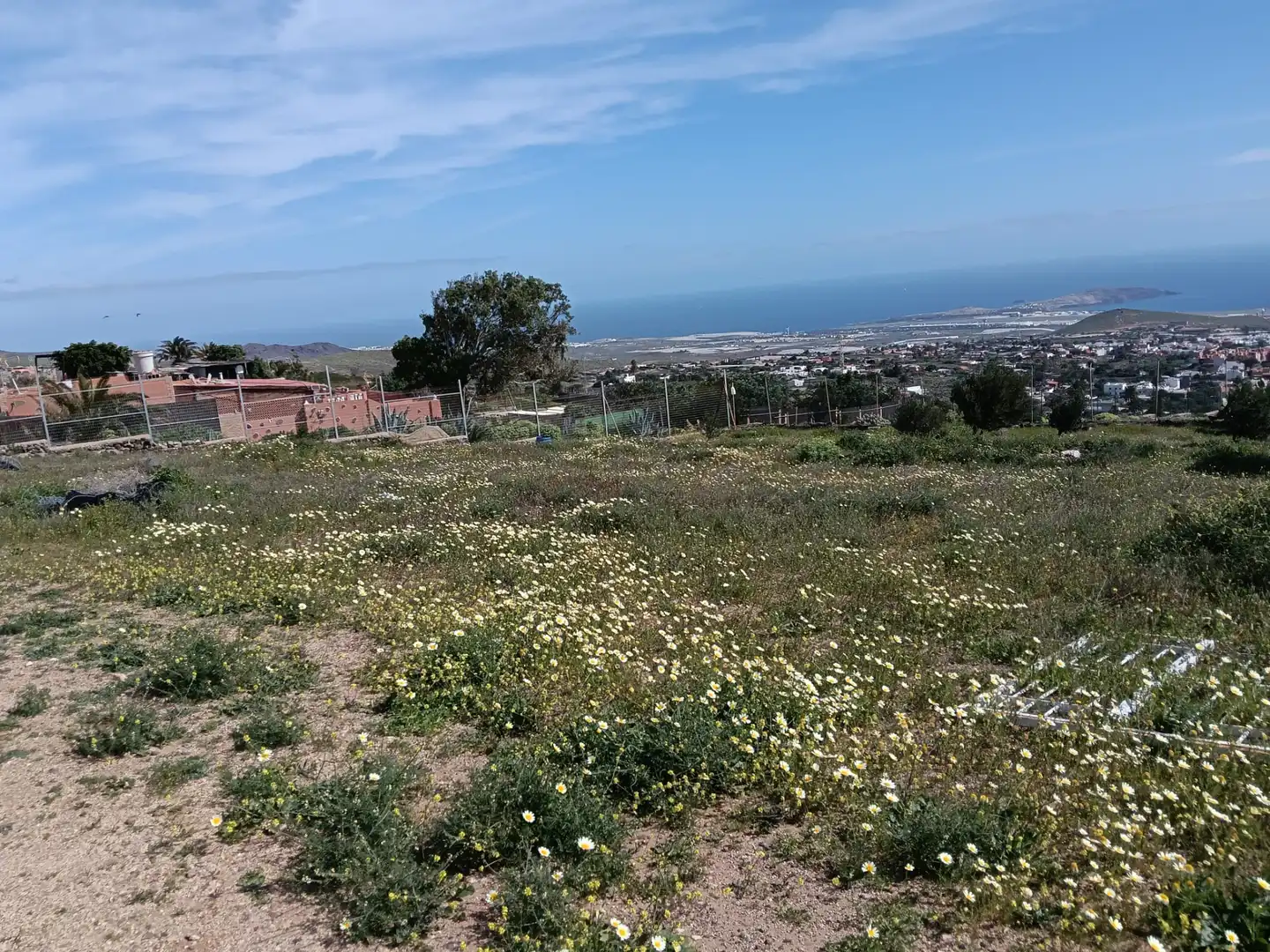 Rural land for sale in Sequero, imagen 16
